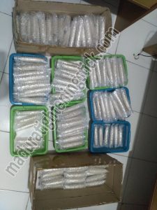 madura tightening stick or wand