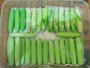madura tightening stick or wand